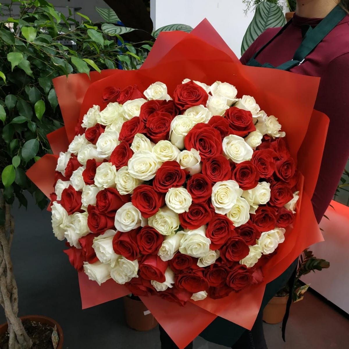 Букет из 101 розы (красные и белые розы) Артикул: 109376