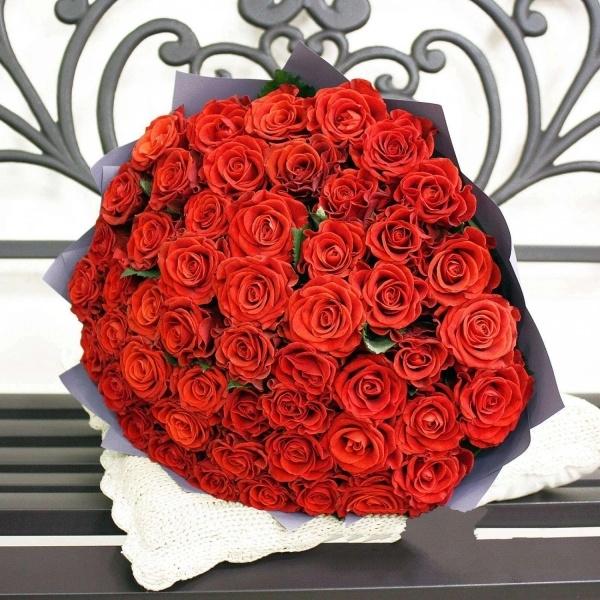 Красная роза Эквадор 51 шт код товара: 190656rzn